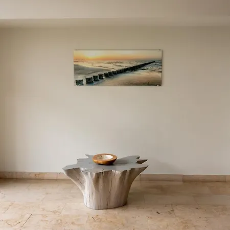 Palanga Studio Паланга