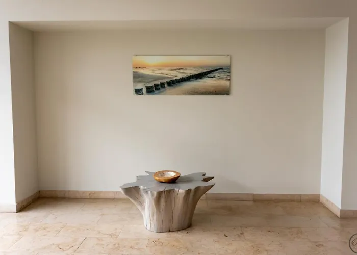 Palanga Studio פלאנגה